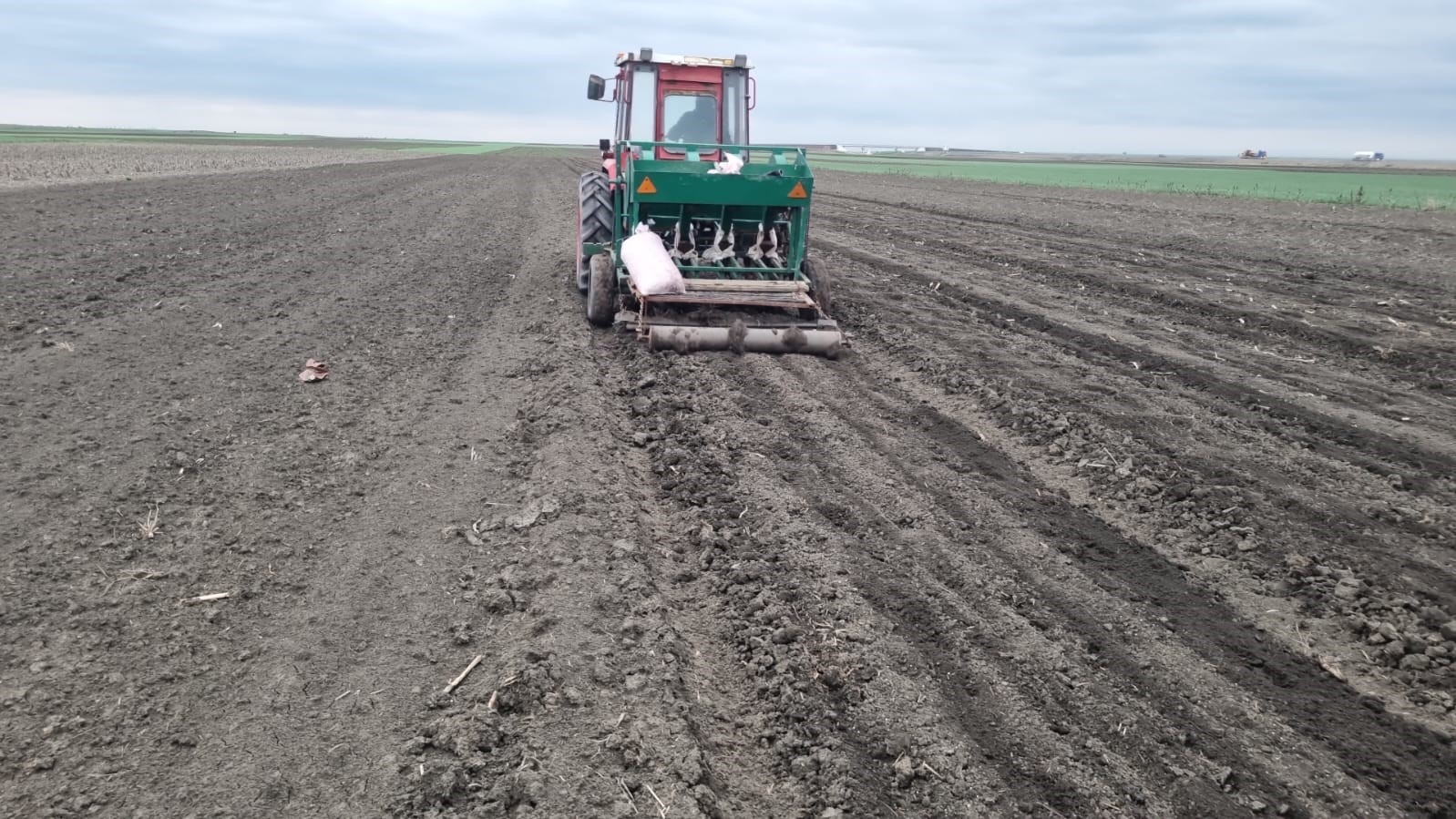 usturoi, buzau, burlacu