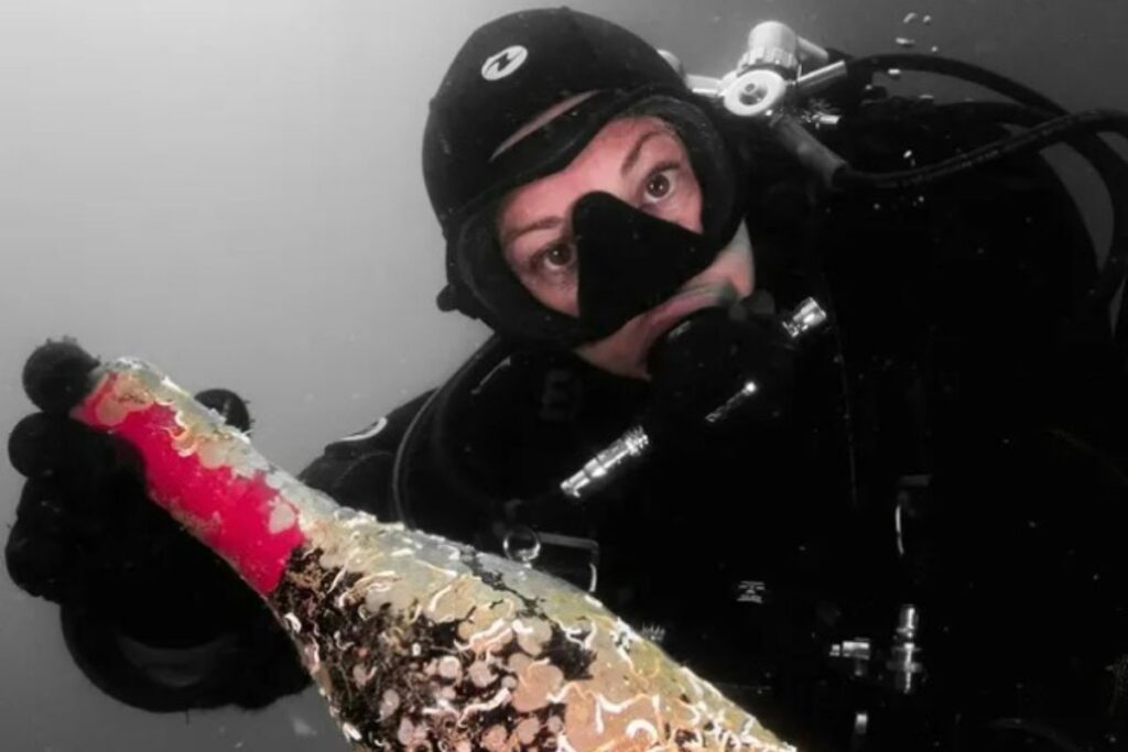 Sursa foto: Elixsea Wines (Instagram)