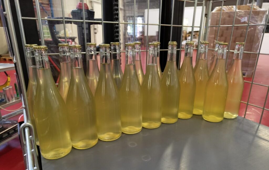 Kombwine kombucha must fermentat cu kombcuha Italia bautura fara alcool