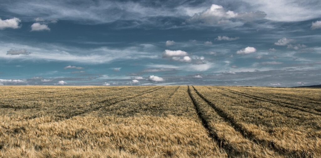 terenuri agricole tranzactii