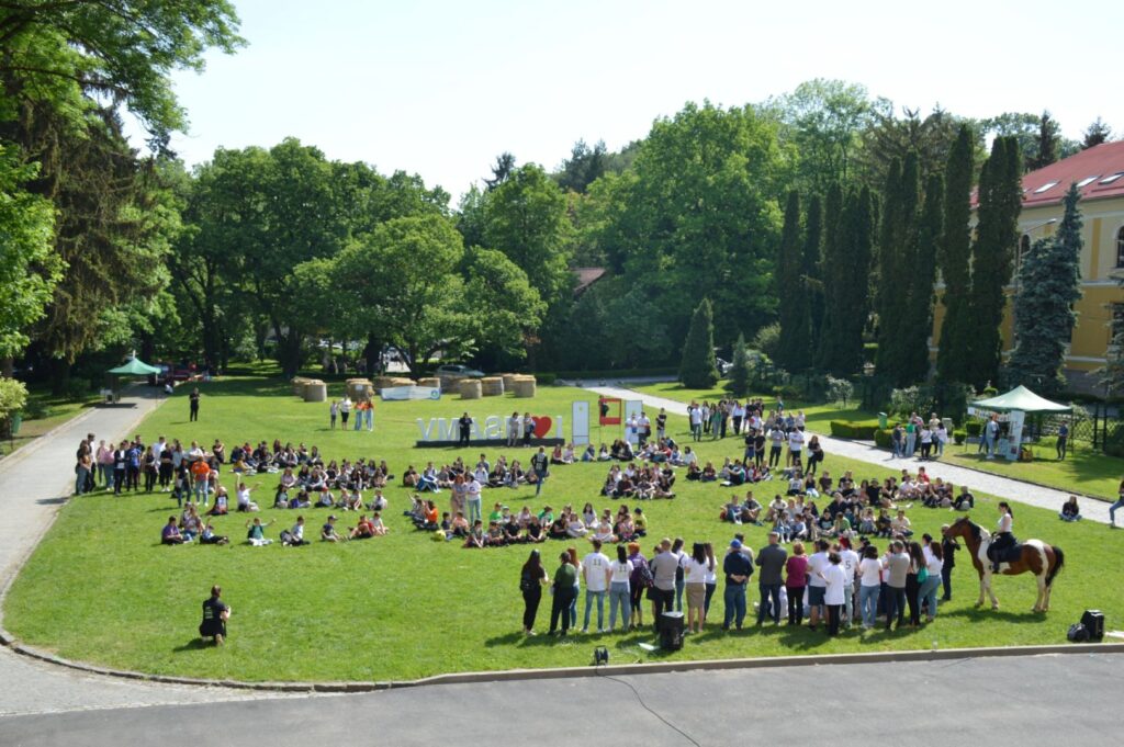 green, universitate cluj napoca