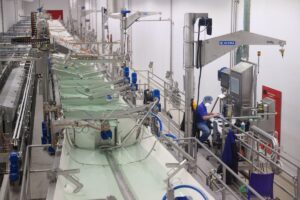 productia-de-mozzarella-din-Belgia-incepe-sa-ajunga-din-urma-mozzarella-italiana-destinata-sectorului-HoReCa