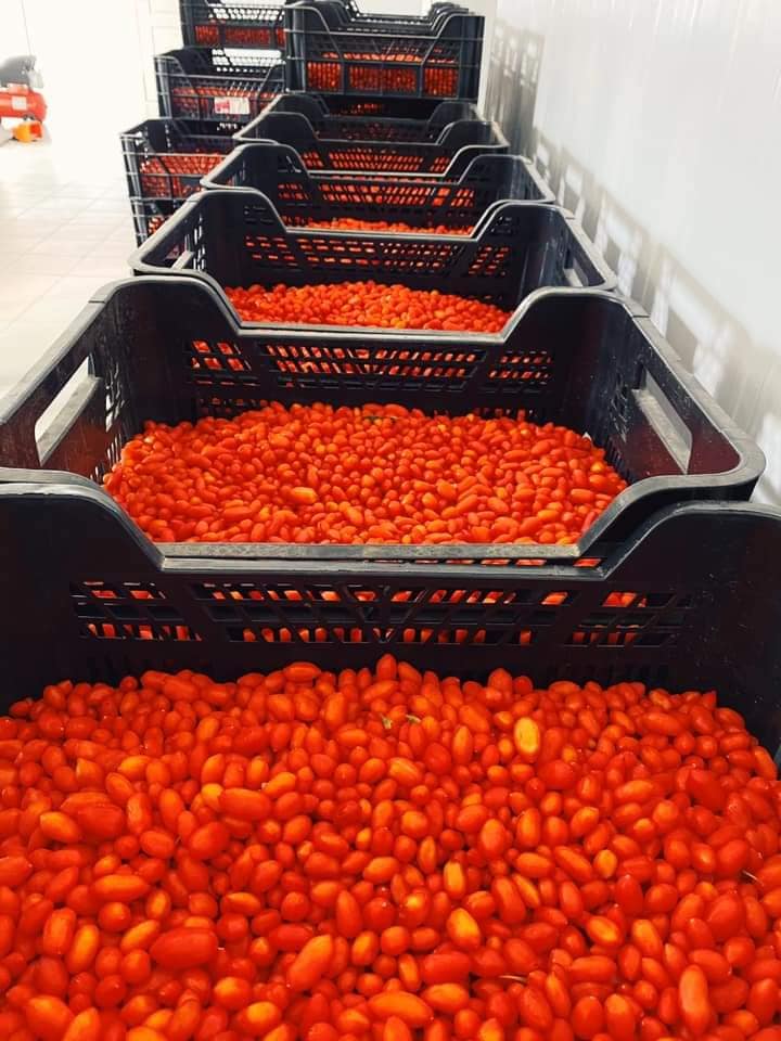 fermier cu valoare adăugată, goji românesc, procesare