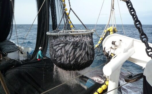 compensaţii financiare nerambursabile pentru cei afectati de conflictul Ucraina