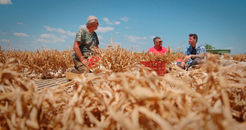 acord bulgaria grecia, irigatii, evros, apa