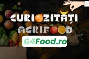 casa de marcat pentru batrani singuri