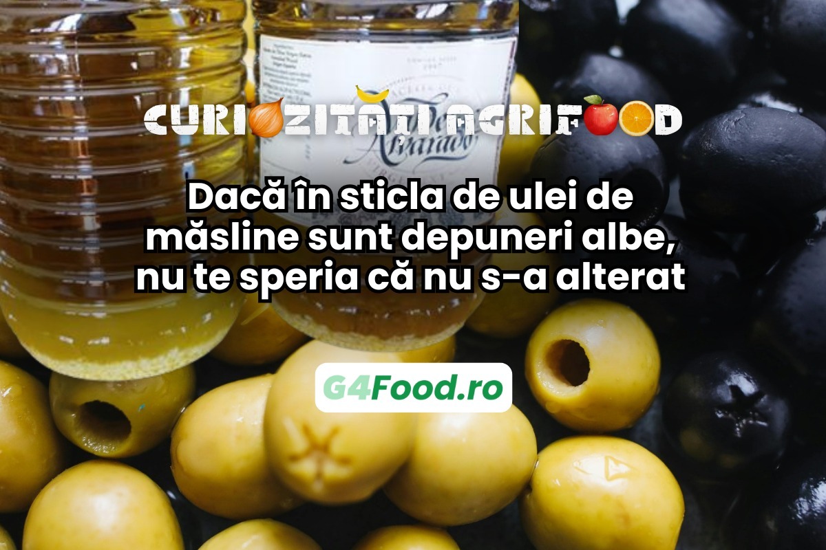 curiozitati agrifood, ulei de masline, depuneri