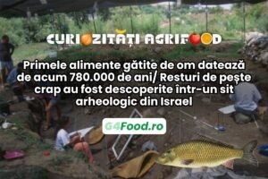 resturile de peste crap au o vecime de aproape 800000 de ani