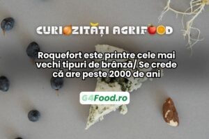 branza roquefort se crede ca are peste 2000 de ani