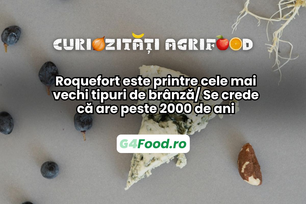 branza roquefort se crede ca are peste 2000 de ani