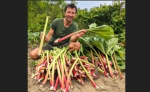 Mircea Muntean, cultivator de rubarbă din județul Mureș