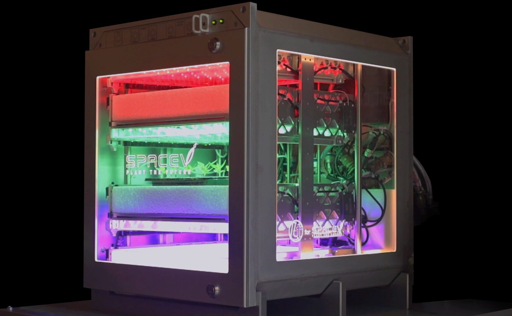 plante comestibile cultivate in spatiu prin tehnologia Adaptive Vertical Farming de catre startupul italian SpaceV