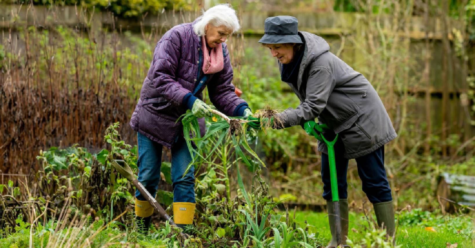 unelte tehnologie grădinărit analiză la raft