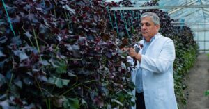 semințe patrimoniu vegetal românesc biodiversitate agricolă