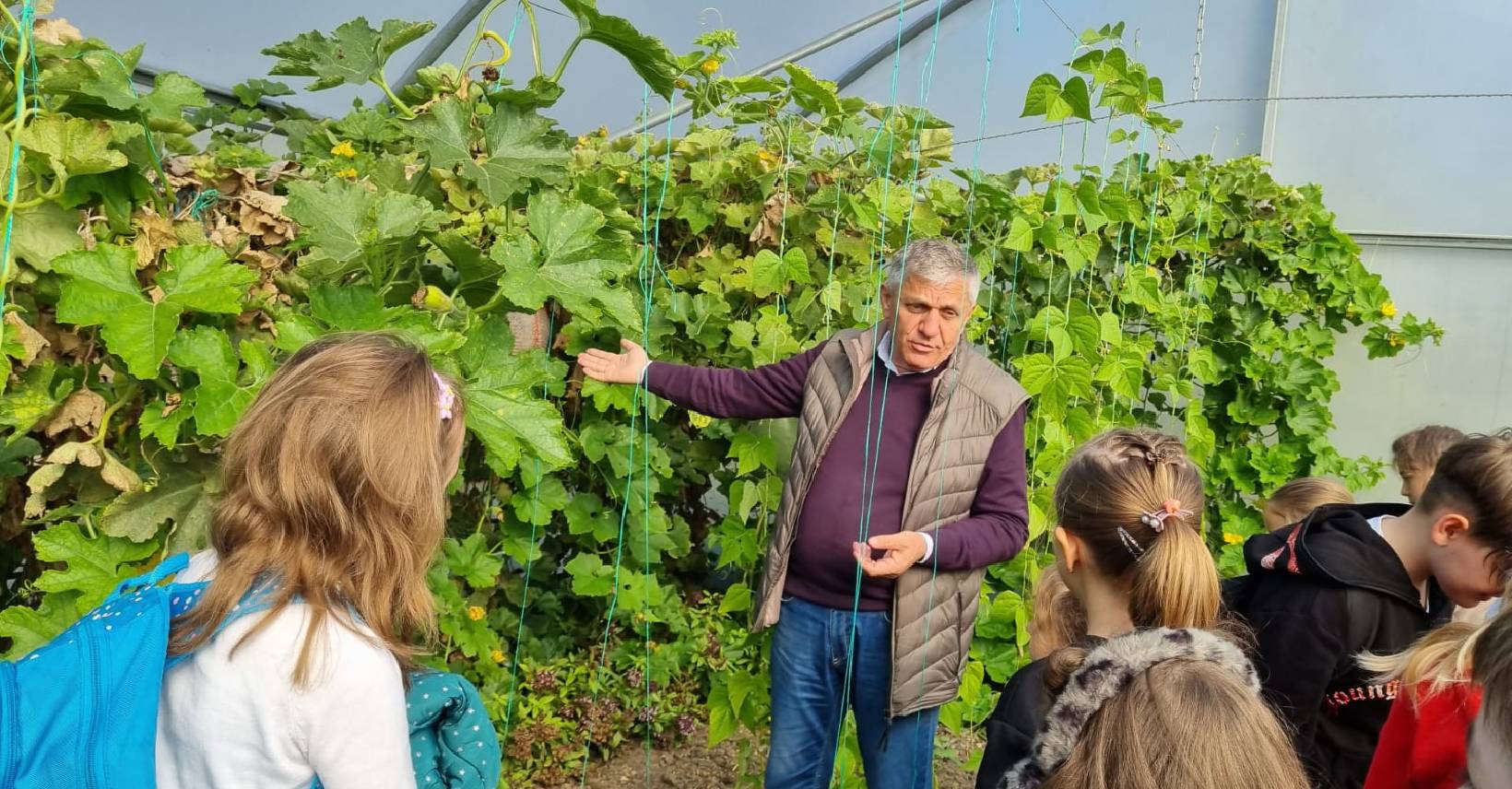 grădină balcon plante grădinărit urban