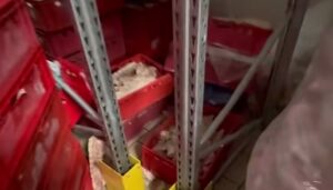 abator inchis temporar la Popesti Leordeni de ANPC