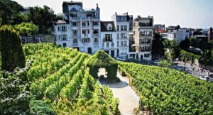 viile urbane de pe toata planeta urmează să fie supuse unui recensamant