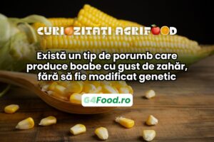 Există porumb cu gust de zahăr fără să fie modificat genetic