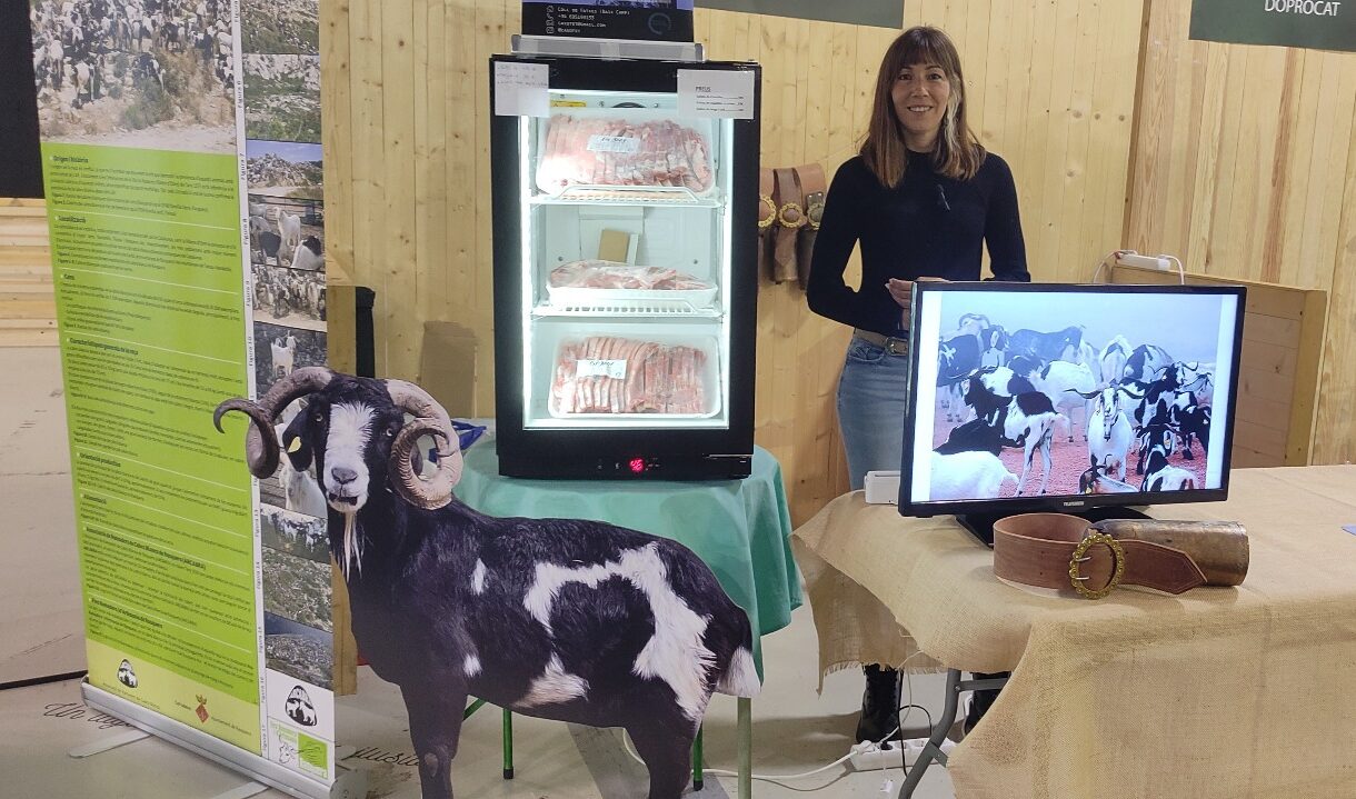 Caprele din specia Rasquera seamănă cu cele sălbatice, au coarne lungi pentru a se putea strecura printre arbori și boscheți, iar carnea lor este o delicatesă