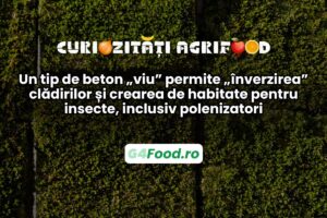 betonul viu permite inverzirea exterioara a cladirilor vechi si noi