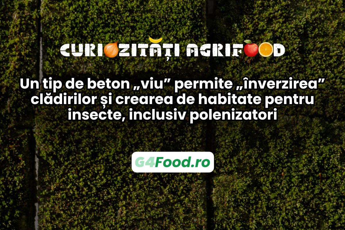 betonul viu permite inverzirea exterioara a cladirilor vechi si noi