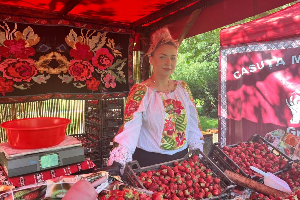 festivalul căpșunilor produse parcul izvor