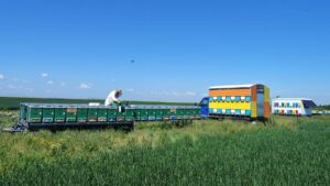 Apicultorul Gheorghe Celsus se află cu albinele la rapiță