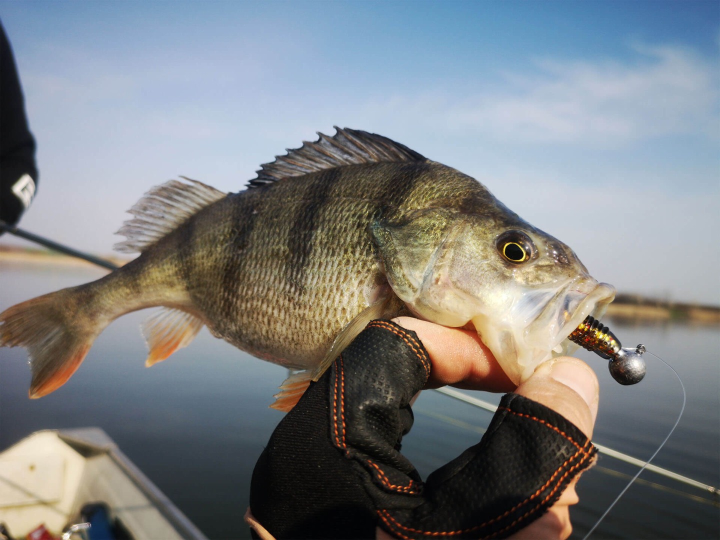 speciile de pesti invazivi afecteaza flora si fauna in banat