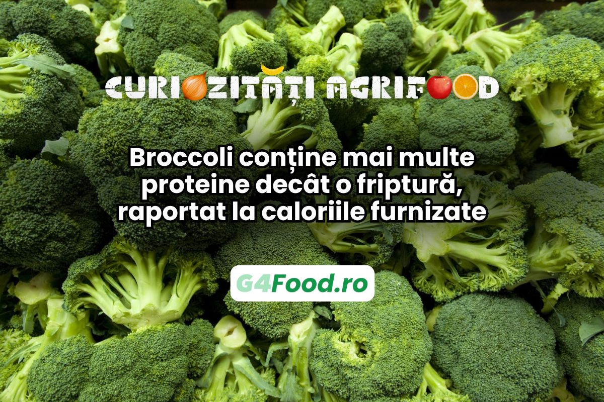 Broccoli are mai multă proteină decât o friptură, raportat la calorii