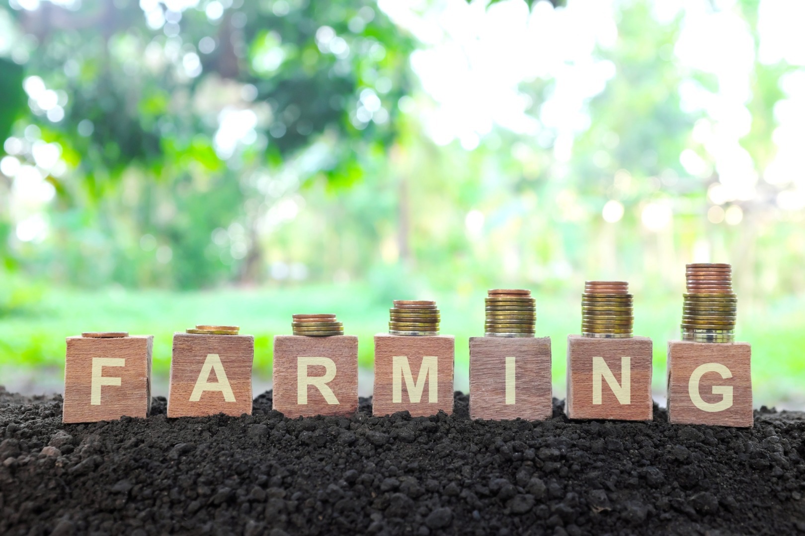 Bugetul pentru agricultură este în pericol să fie diminuat