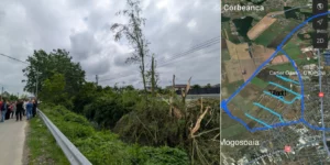 FOTO: Distrugere vegetație de pe canale de desecare ale orașului Otopeni / Harta canalelor