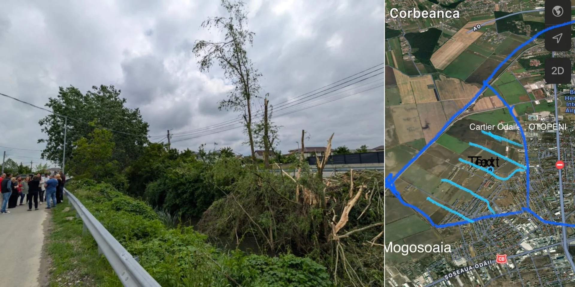 FOTO: Distrugere vegetație de pe canale de desecare ale orașului Otopeni / Harta canalelor