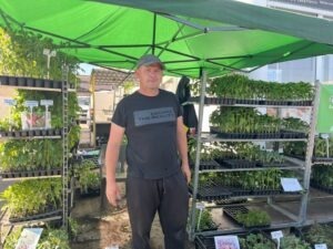 Daniel Achim este paramedic și vinde răsaduri în piață