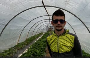 Cum sec curăță plantele