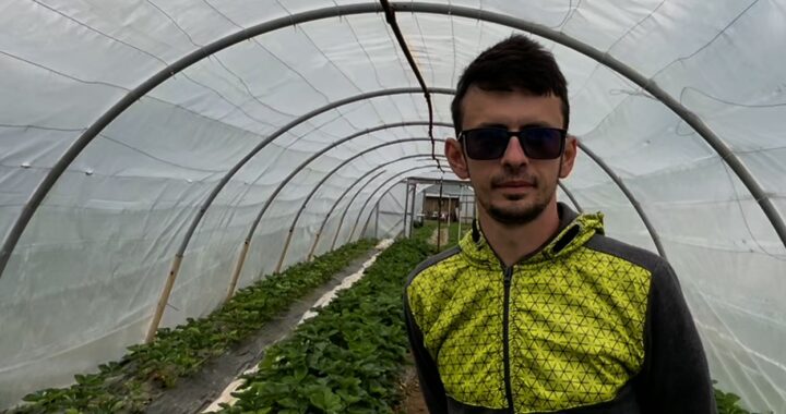 Cum sec curăță plantele