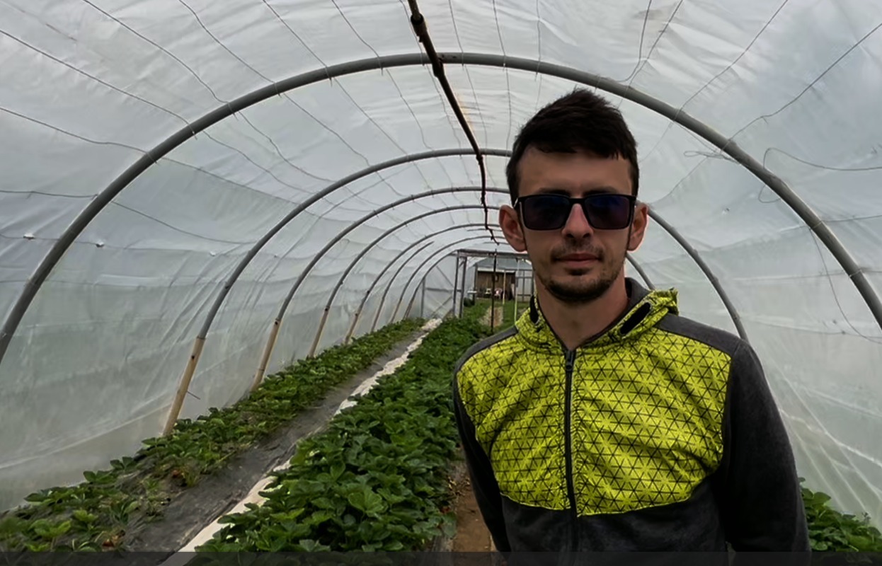 Cum sec curăță plantele