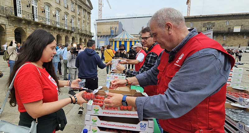 capsuni, capsuni de huelva, Spania, campanie