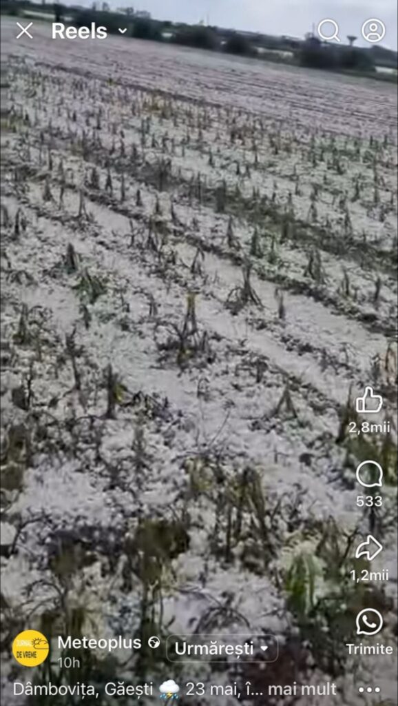 Grindină căzută în Găești