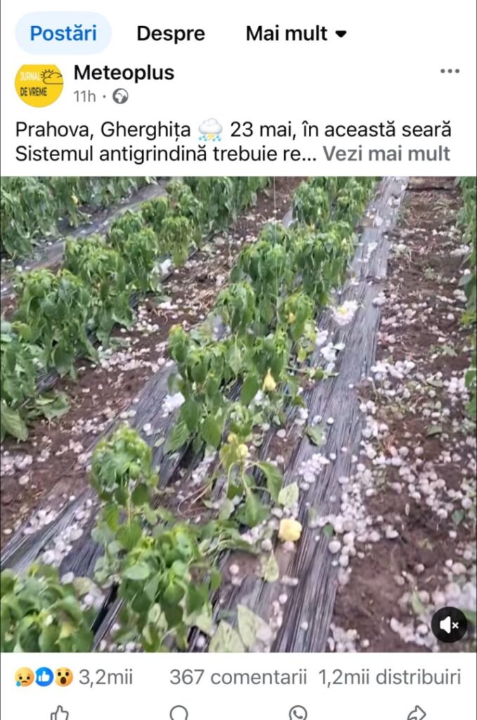 Grindină în Gherghița - Prahova