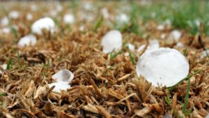 Ministerul Agriculturii a comunicat că localitățile afectate de grindină sunt în afara sistemului național antigrindină