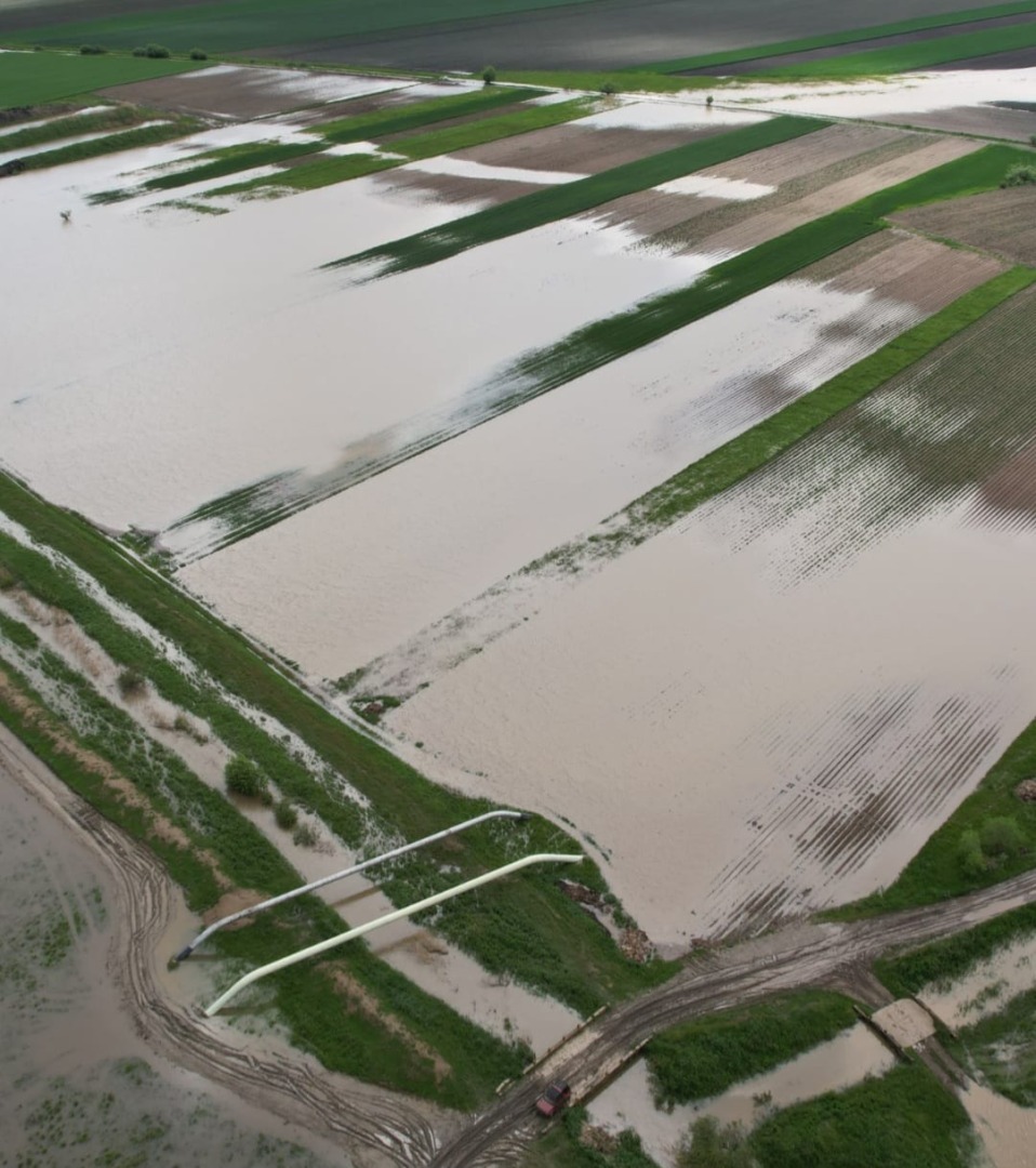 Cum arata culturile distruse de inundatii, din Covasna