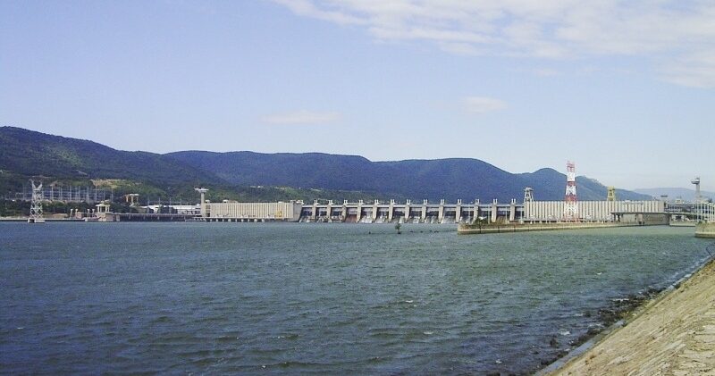 pești morți în lacul de acumulare portile de fier 1