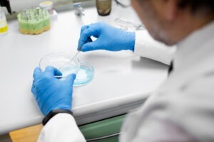 O companie obține lactoferină în laborator, fără lapte