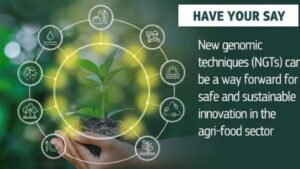 Dezbateri aprinse la Bruxelles, pe tema organismelor modficate genetic