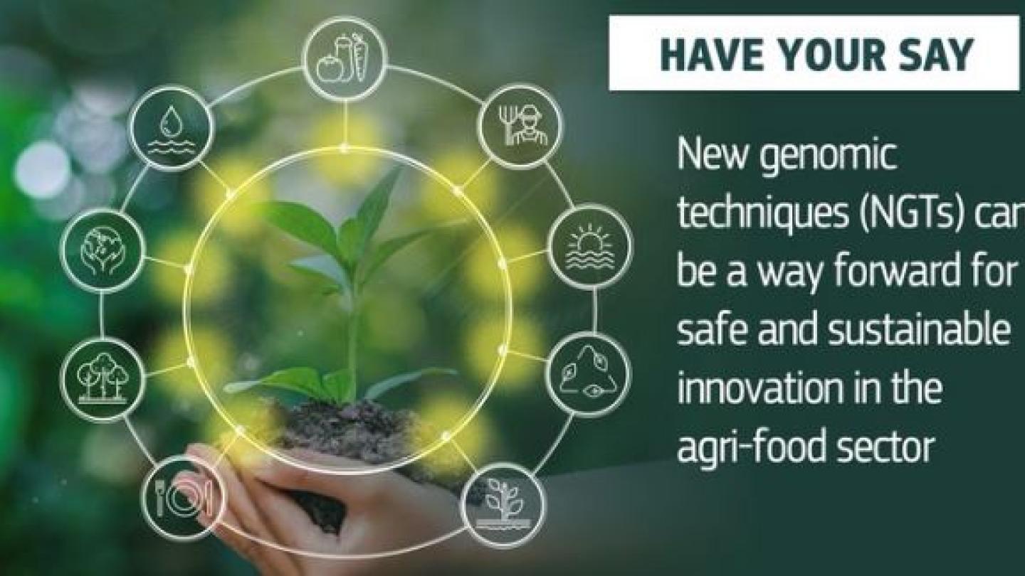 Dezbateri aprinse la Bruxelles, pe tema organismelor modficate genetic