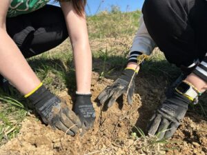 Starbucks România se implică activ în comunităţile locale şi investeşte în acţiuni de voluntariat dedicate reîmpăduririi
