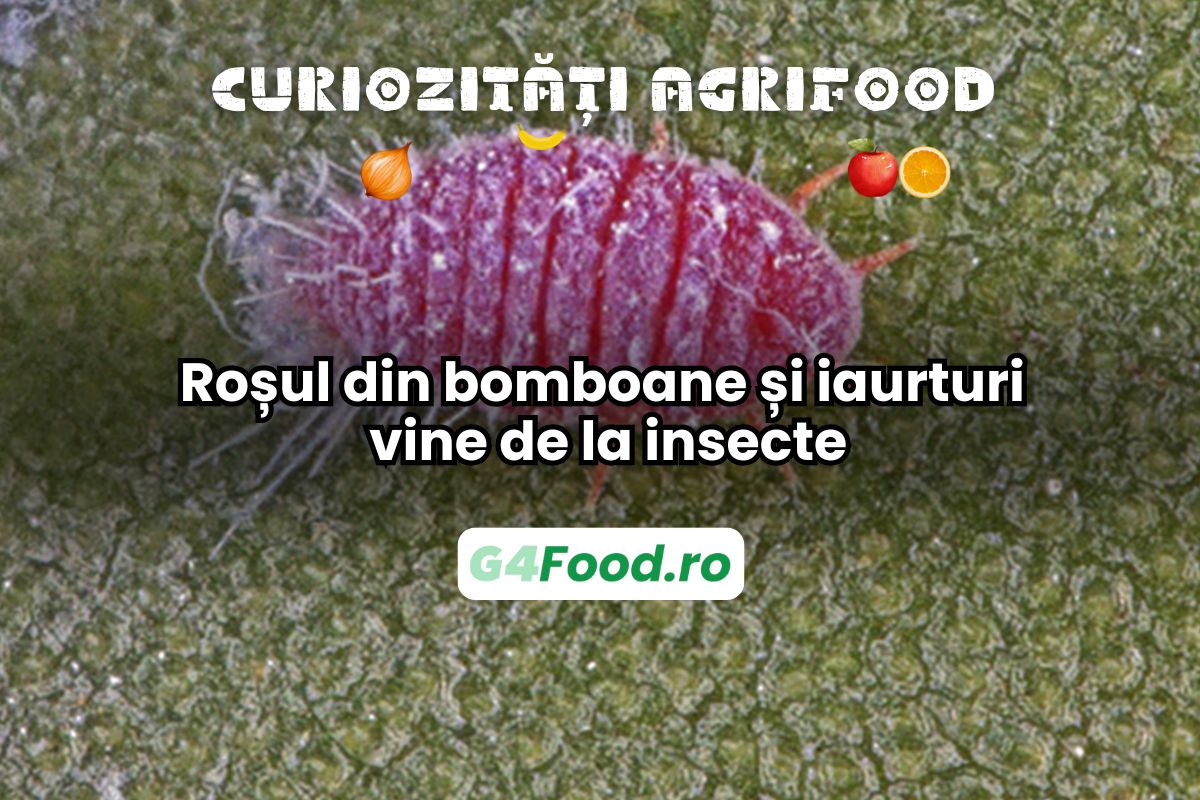 Colorantul carmin este obținut dintr-o insectă