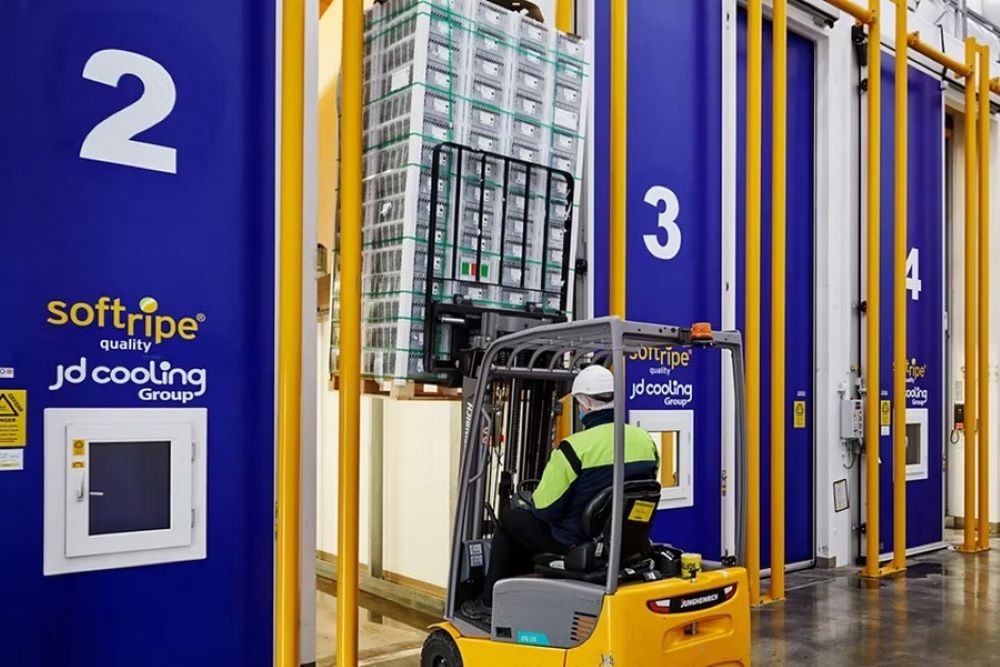camerele-ultratehnologice-softripe-pentru-fructe-ofera-conditii-de-coacere-indoor-folosind-AI-atmosfera-controlata