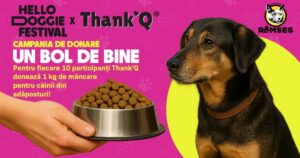 mancare caini adaposturi