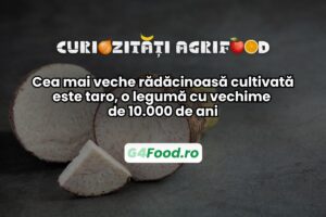 curiozitati agrifood leguma taro
